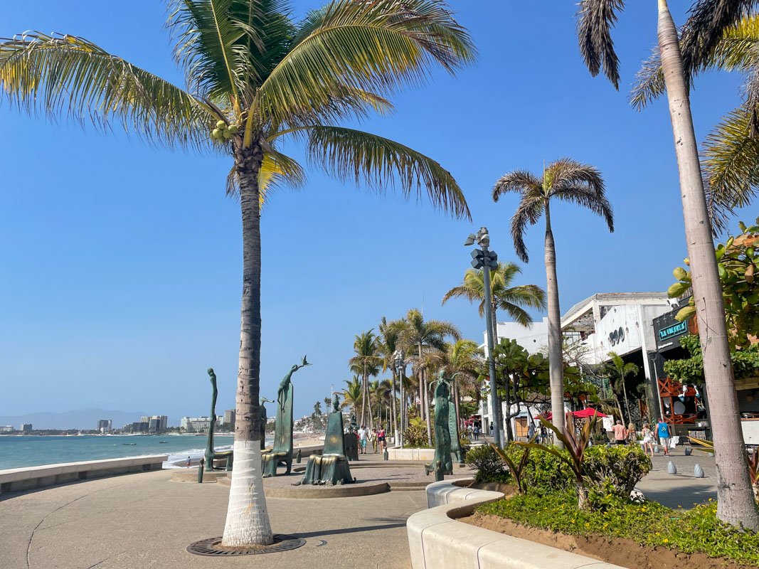 A sidewalk with palm trees and benches near the ocean in Puerto Vallarta.