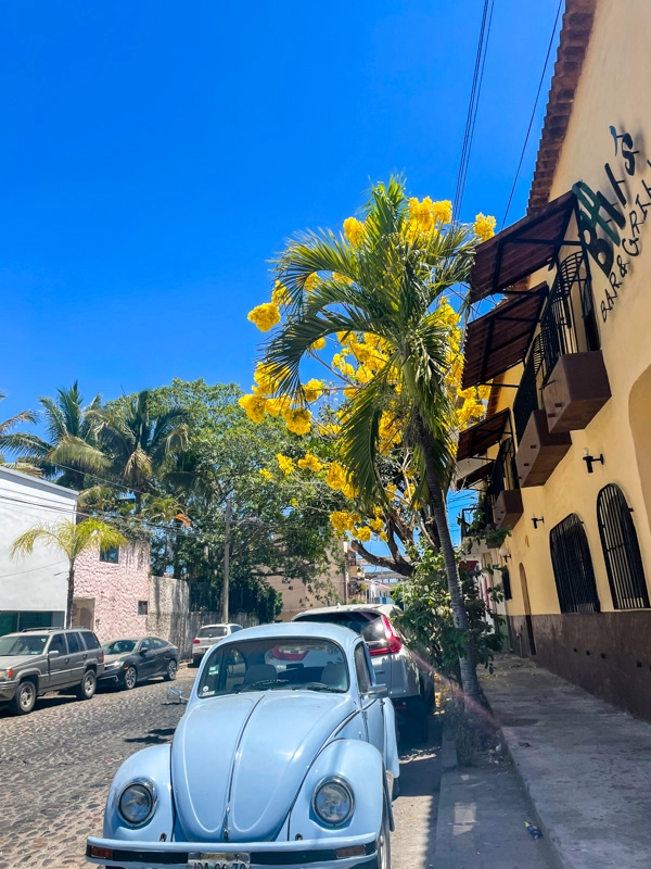 old style car on road in puerto vallarta