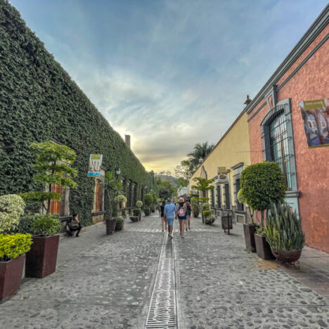 The Best Hostels in Puerto Vallarta Mexico