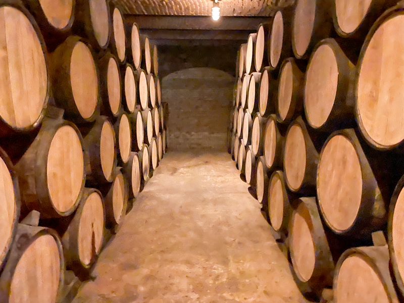 Cellar of Tequila