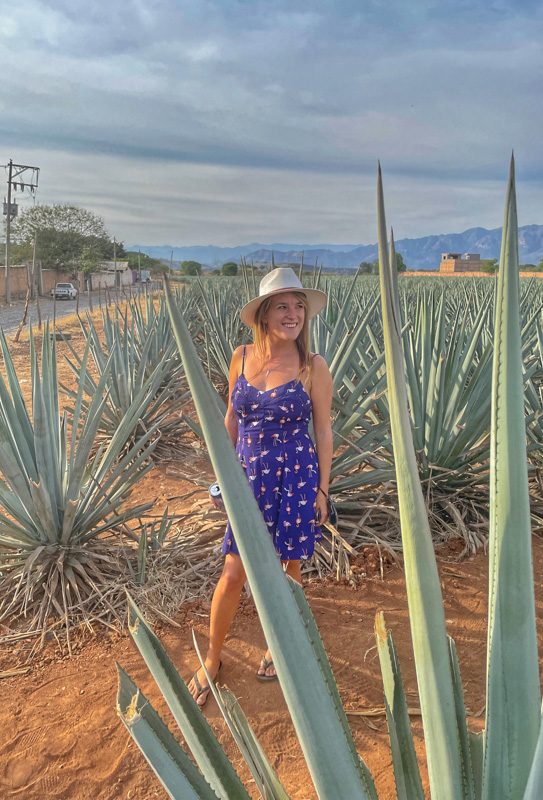 lora standing next to an agave plant holding a beer in tequila
