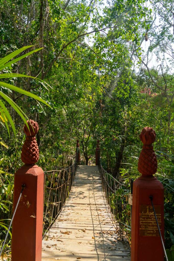 puerto vallarta hiking trail in the botanical gardens