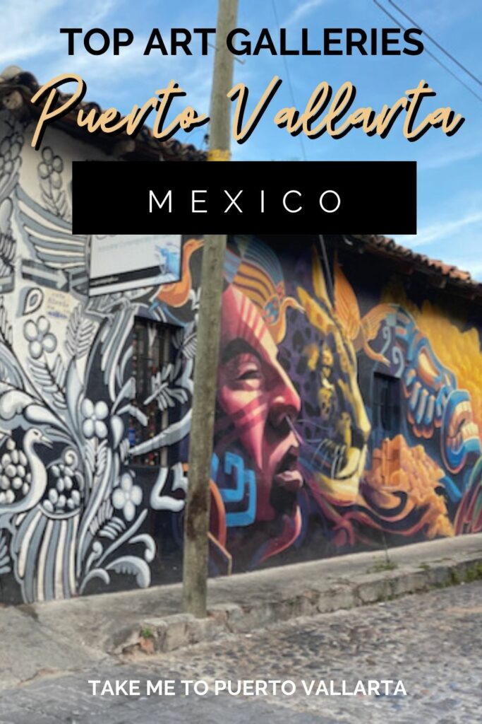 street mural in puerto vallarta with overlay text that reads top art galleries in puerto vallarta mexico