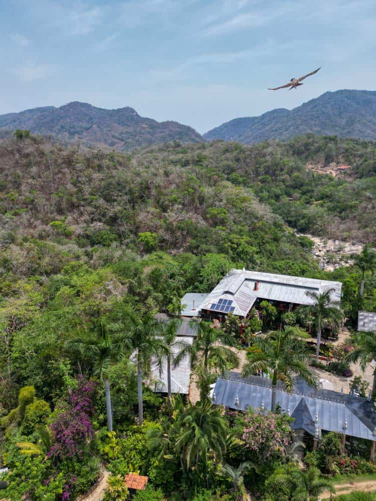 aerial shot of the puerto vallarta botanical gardens with a bird flying over the mountain