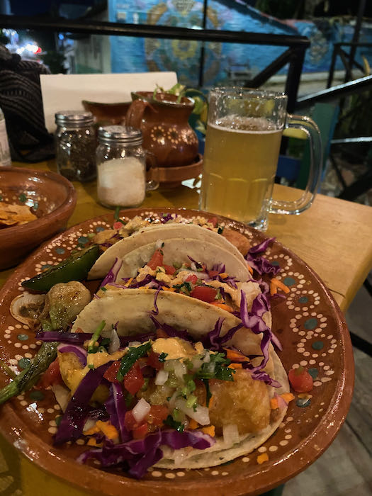three fish tacos on a mexican style plate.