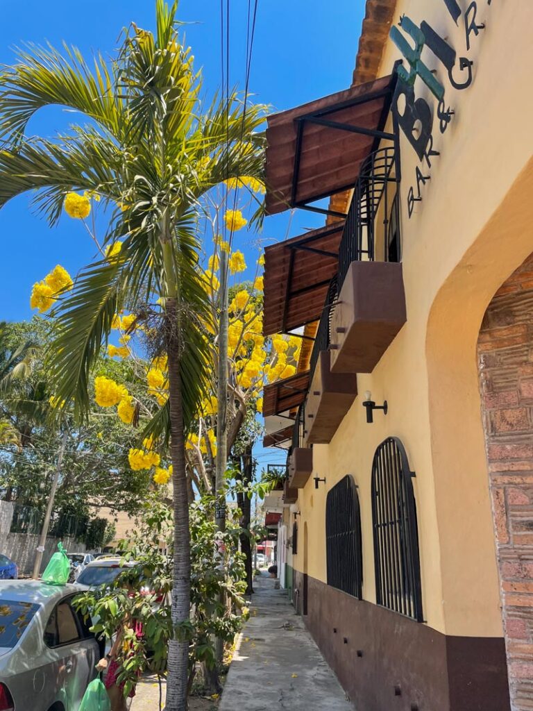 Street in Versalles Puerto Vallarta