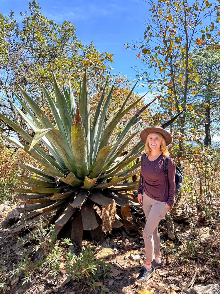 lora standing next to an agave plant that is larger than her