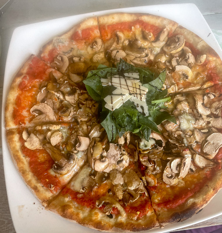 a mushroom vegetarian pizza topped with basil and cheese