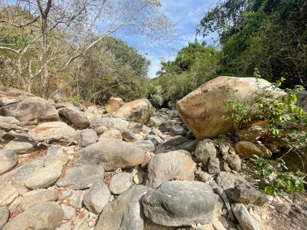 dried river with  large rock boulders surrounded by dry vegetation