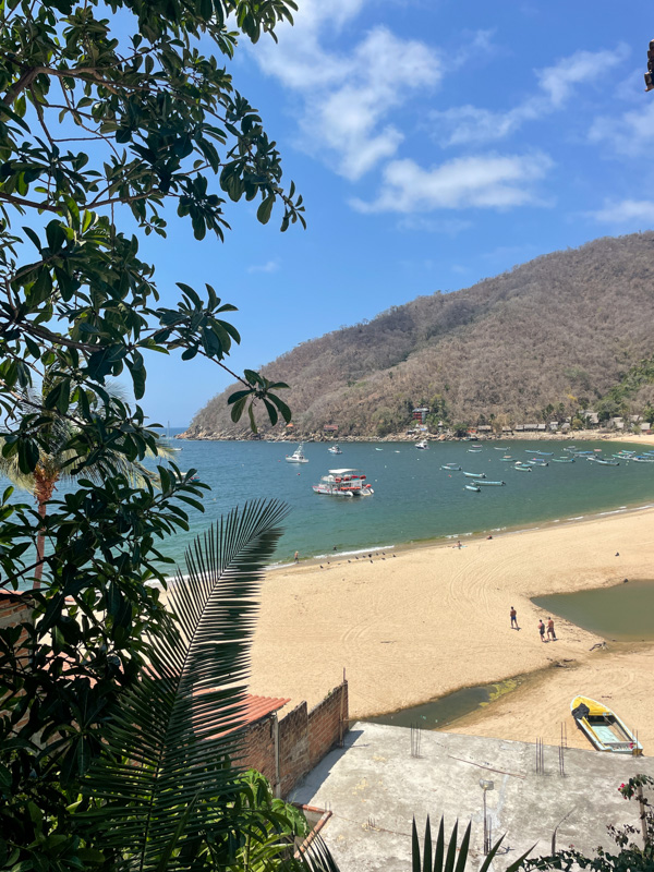 the idyllic Yelapa beach, with its pristine shores, photo framed by towering palm trees