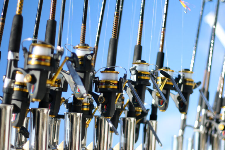 Top Puerto Vallarta Fishing Trips and Charters