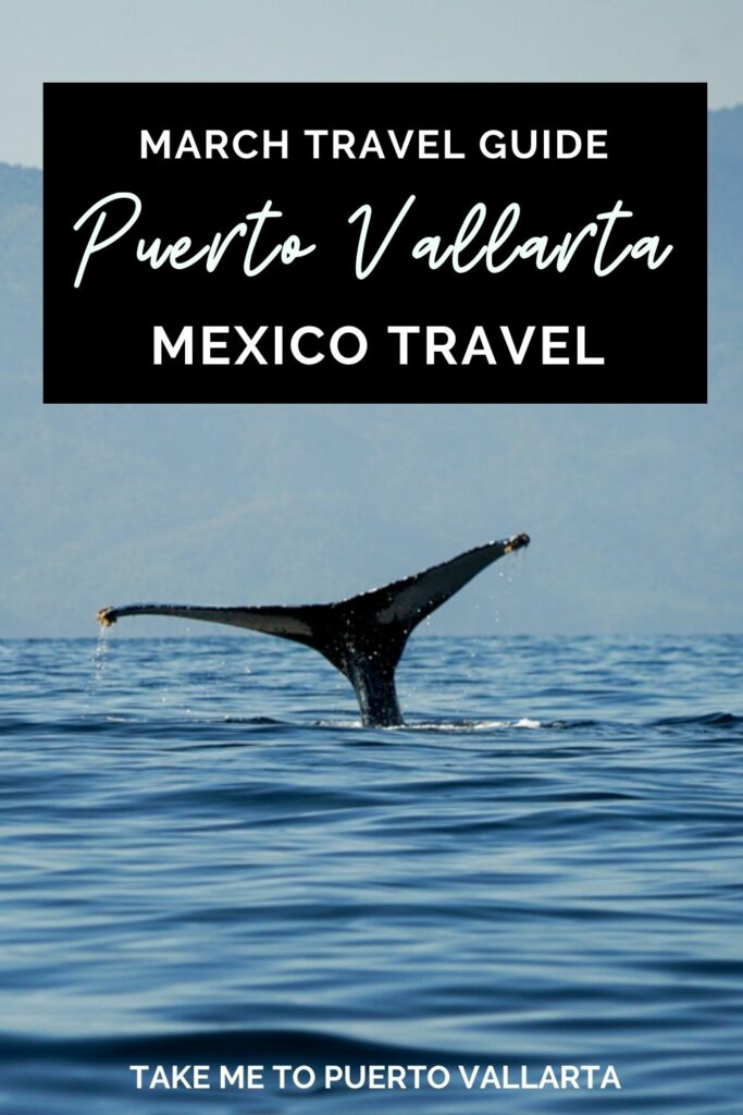 puerto vallarta in march pin