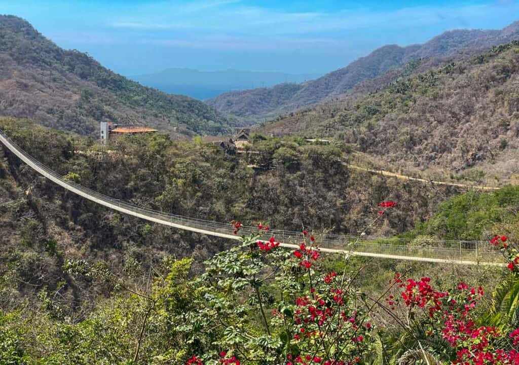 jorullo bridge at canopy river