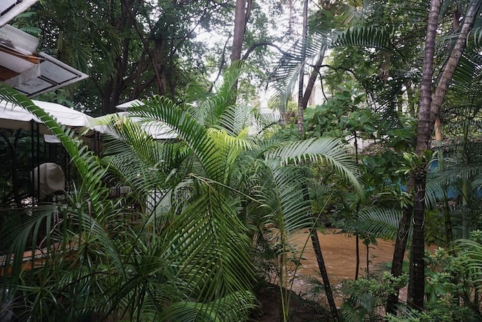 The enchanting River Cafe immerses guests in a lush garden oasis. Towering trees and vibrant foliage surround the restaurant, creating a magical atmosphere where nature and dining converge.