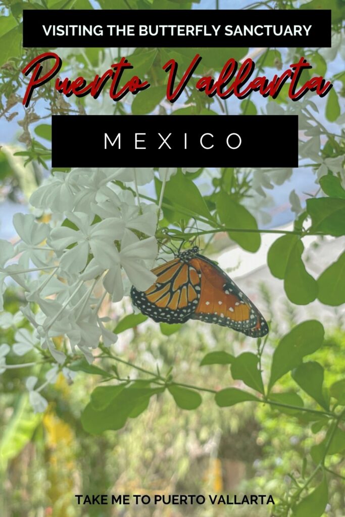 monarch butterfly with overly text that says visiting the butterfly sanctuary puerto vallarta mexico